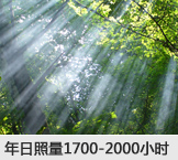 年日照量1700-2000小时