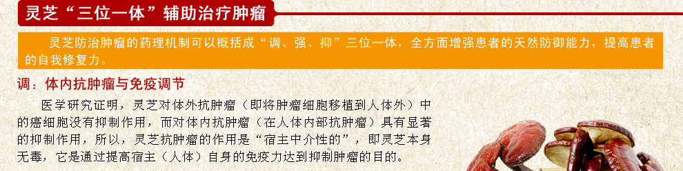 灵芝"三位一体"辅助治疗肿瘤