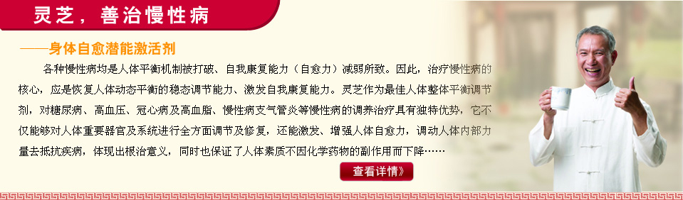 灵芝,善治慢性病