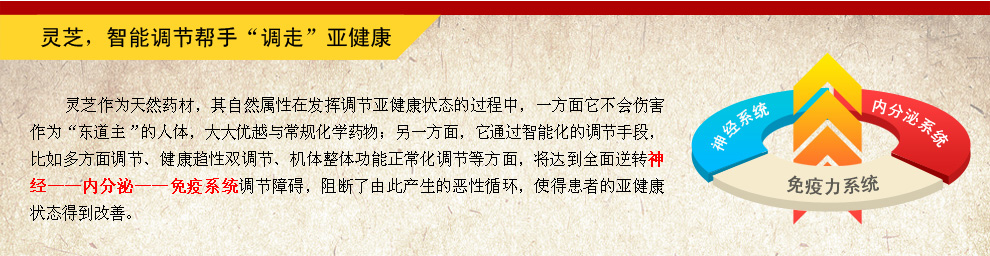 灵芝,智能调节帮手“调走”亚健康